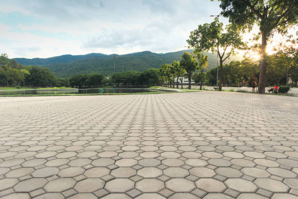  Dash Point, WA Driveway Pavers Pros